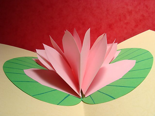 CNY008lbm